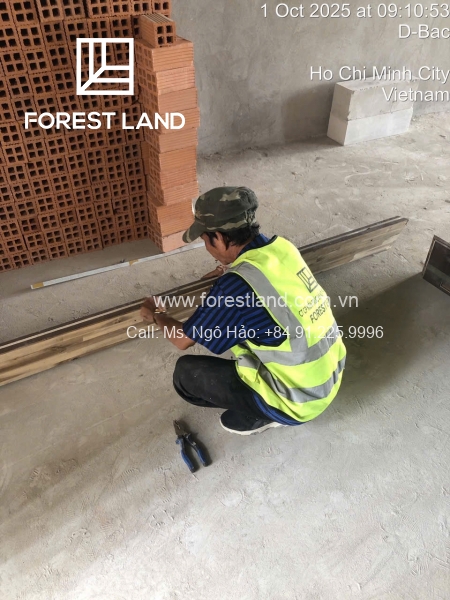 C12B-2 ( tên thương mại: L'arcade 1) Quận 7, HCM